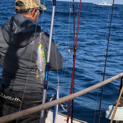 あみや渡船 JIGBOY 釣果