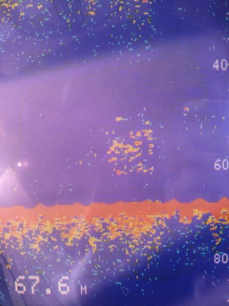 あみや渡船 JIGBOY 釣果