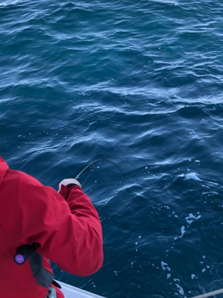 あみや渡船 JIGBOY 釣果