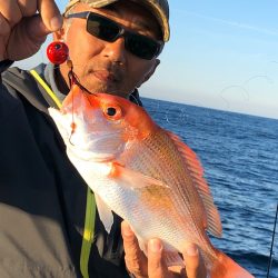 あみや渡船 JIGBOY 釣果