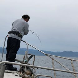 あみや渡船 JIGBOY 釣果