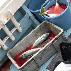 あみや渡船 JIGBOY 釣果