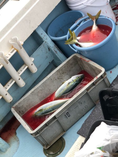 あみや渡船 JIGBOY 釣果