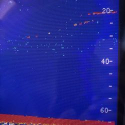 あみや渡船 JIGBOY 釣果