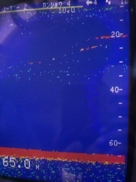 あみや渡船 JIGBOY 釣果