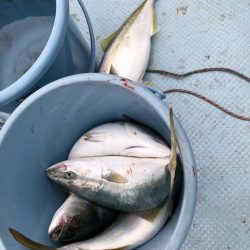 あみや渡船 JIGBOY 釣果