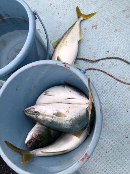 あみや渡船 JIGBOY 釣果