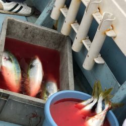 あみや渡船 JIGBOY 釣果