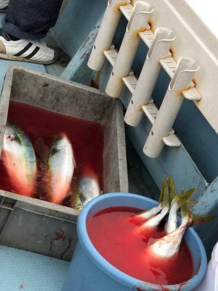 あみや渡船 JIGBOY 釣果