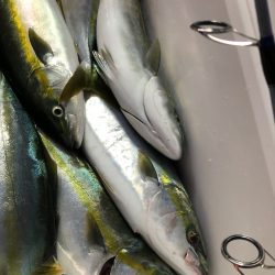 あみや渡船 JIGBOY 釣果