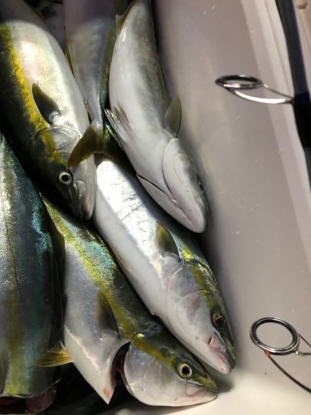 あみや渡船 JIGBOY 釣果