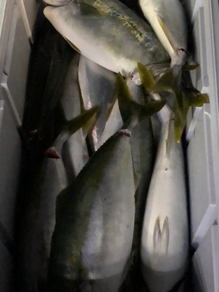 あみや渡船 JIGBOY 釣果