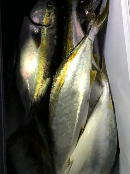 あみや渡船 JIGBOY 釣果