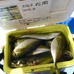 ヤザワ渡船 釣果