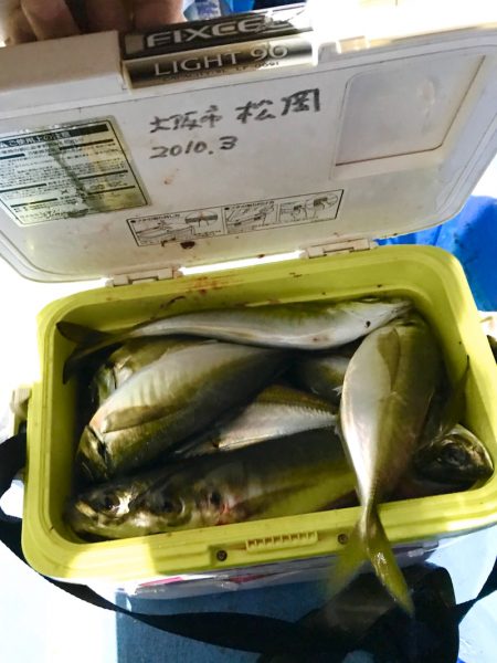 ヤザワ渡船 釣果