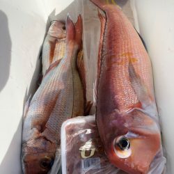 第二八坂丸 釣果