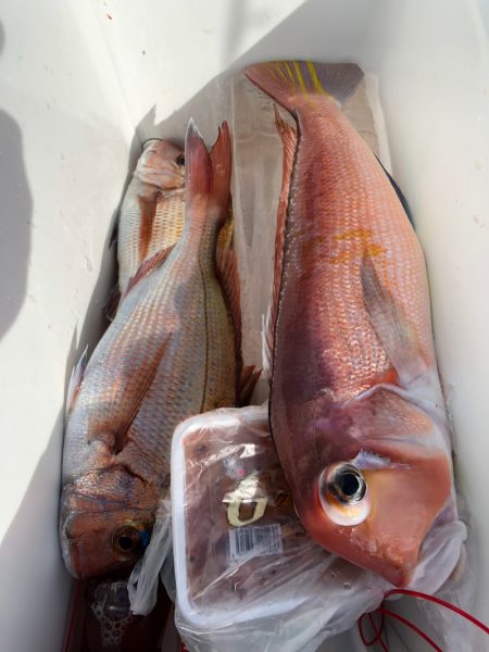 第二八坂丸 釣果