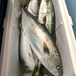 第二八坂丸 釣果