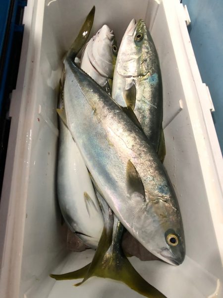 第二八坂丸 釣果