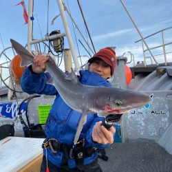 シーランチ 釣果