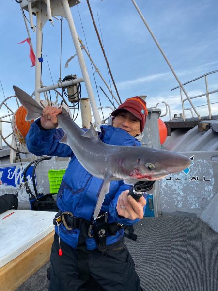 シーランチ 釣果
