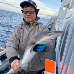 シーランチ 釣果