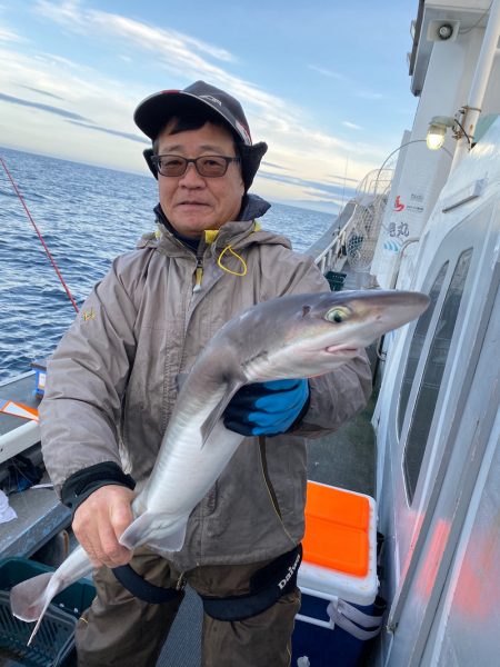 シーランチ 釣果