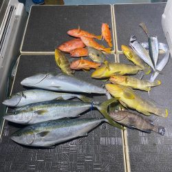 Monster Rush! 釣果