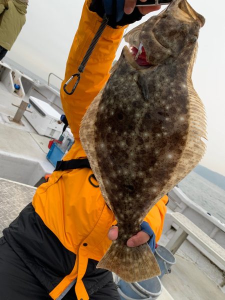 ランスルー 釣果