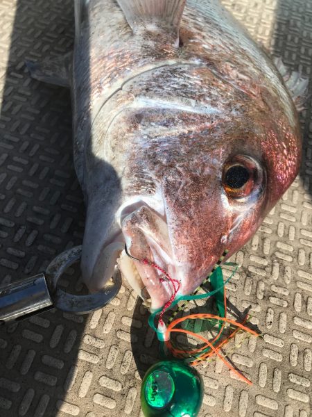 龍神丸（鹿児島） 釣果