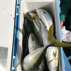 ヤザワ渡船 釣果