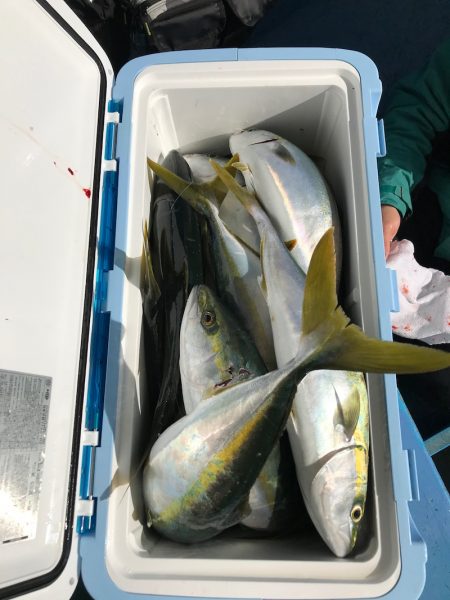 ヤザワ渡船 釣果