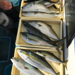 ヤザワ渡船 釣果