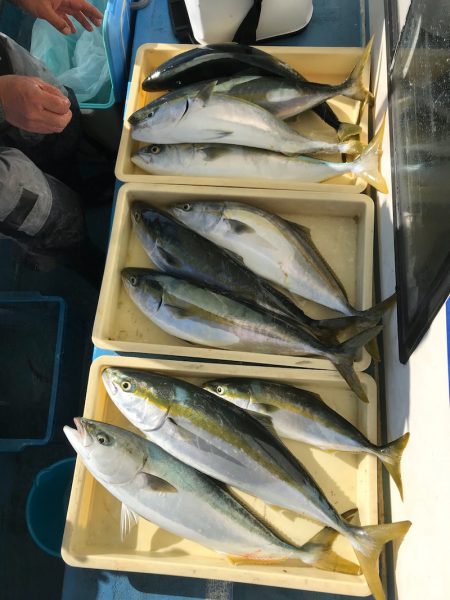 ヤザワ渡船 釣果