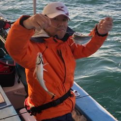 ヤザワ渡船 釣果