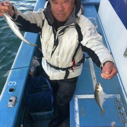 ヤザワ渡船 釣果