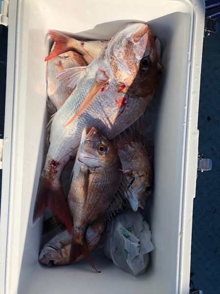 フィッシング キッタカ 釣果