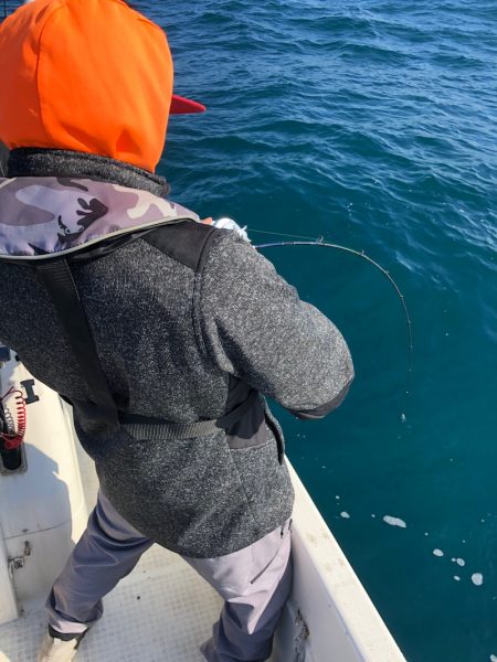 「LaGooN」蒼陽丸 日和号　 釣果