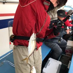 ヤザワ渡船 釣果