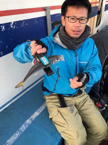 ヤザワ渡船 釣果