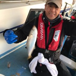 ヤザワ渡船 釣果