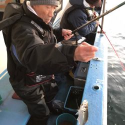 ヤザワ渡船 釣果