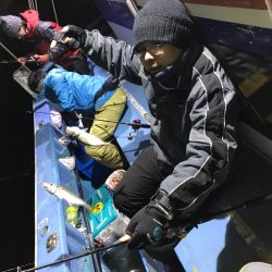 ヤザワ渡船 釣果