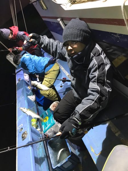 ヤザワ渡船 釣果