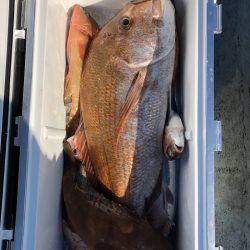 フィッシング キッタカ 釣果