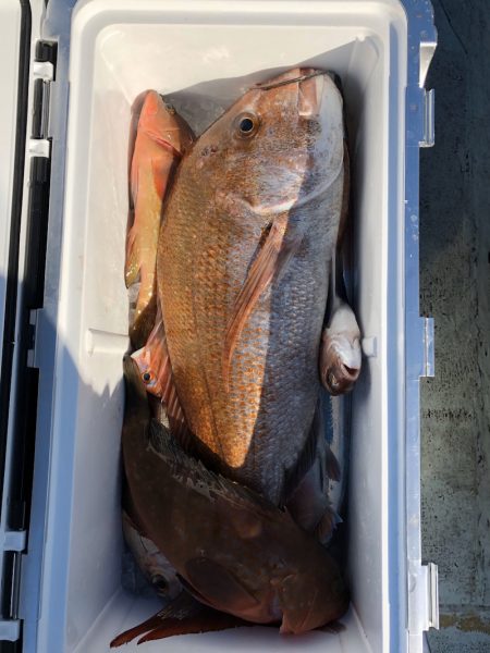 フィッシング キッタカ 釣果