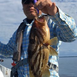 渡船屋たにぐち 釣果