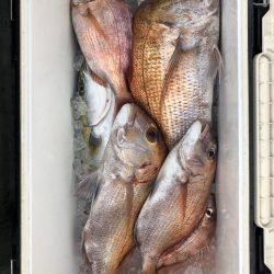 フィッシング　キッタカ 釣果