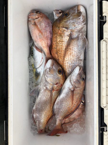 フィッシング　キッタカ 釣果