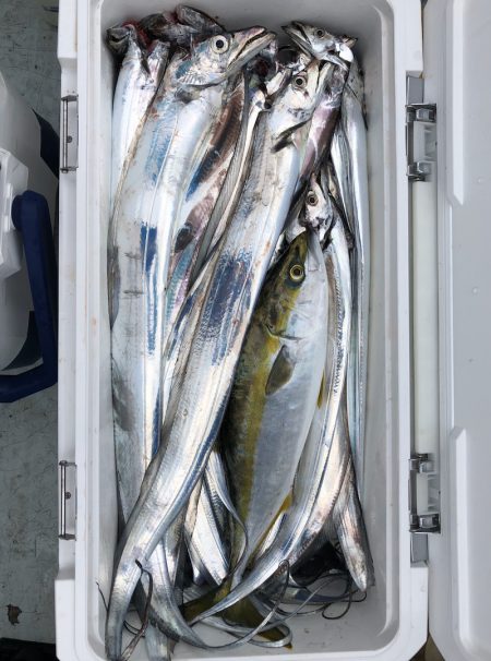 フィッシング キッタカ 釣果